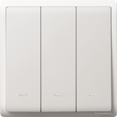 16AX 250V 3G 2W SW W/FLOU, WE